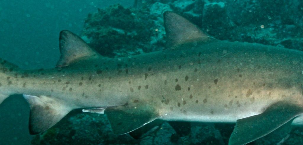 4665860d-a9a1-48b6-9653-11cdcd417a1c