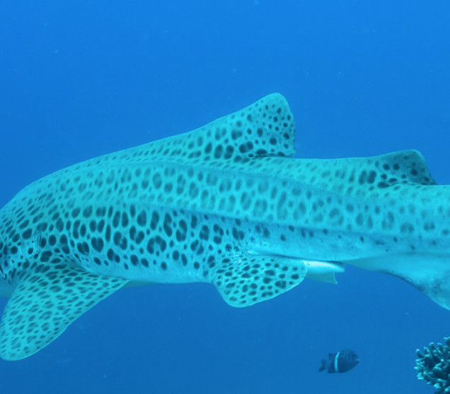 48694646-596c-4a58-ba7e-cc2cc679691b