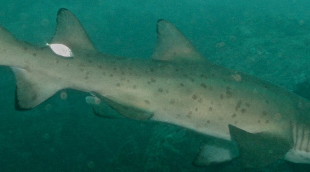 07aa88f4-de82-4ca2-b3f2-296051b72f68