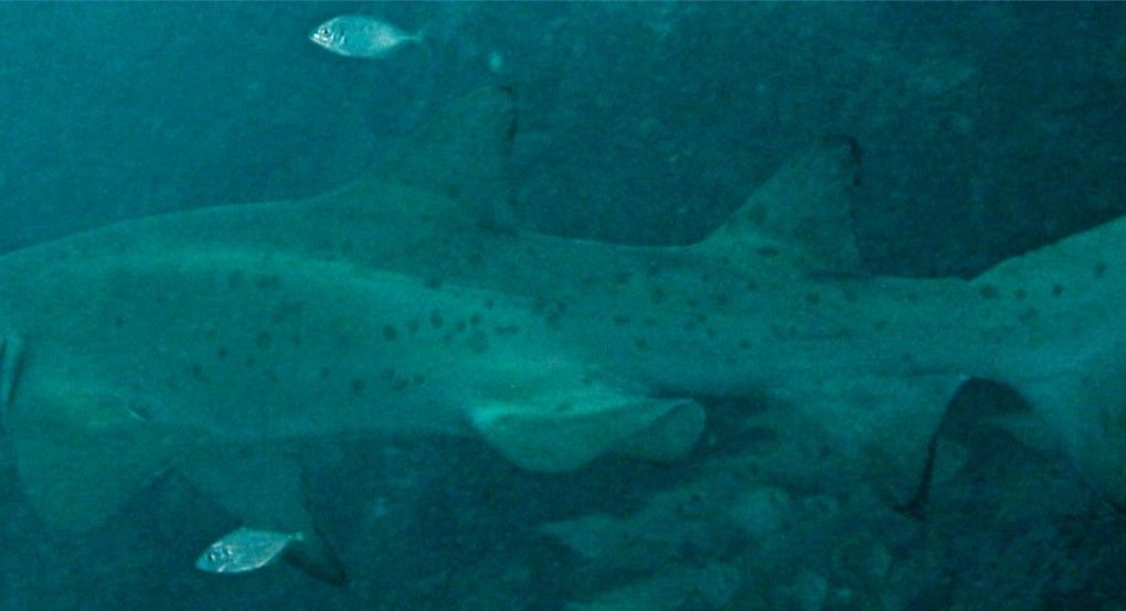 07aa88f4-de82-4ca2-b3f2-296051b72f68