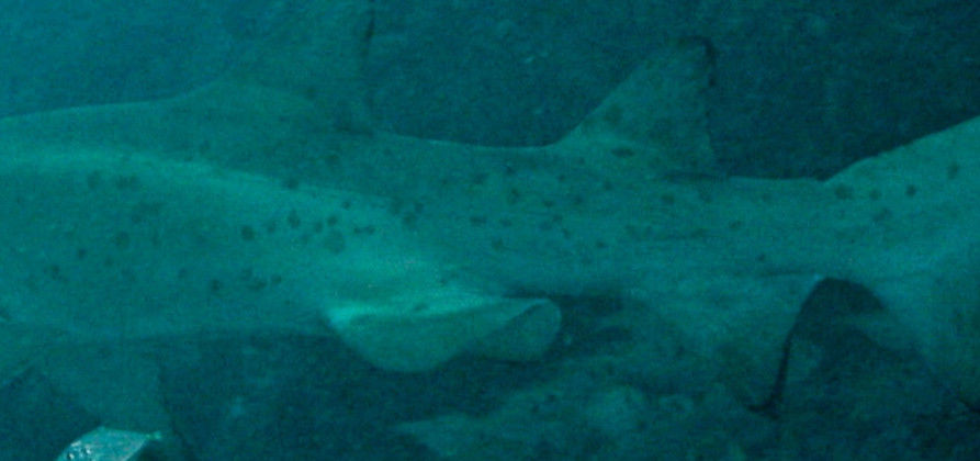 07aa88f4-de82-4ca2-b3f2-296051b72f68