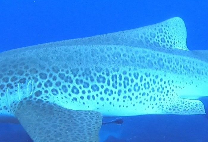 ab7dac95-3eb8-42ec-9c6e-f9e93c537ad4