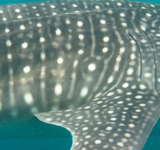 45016f99-f84e-44d0-a51d-b347a56b1d37