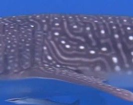 79ec7b1c-0a23-4014-b312-f3281ad16ab8