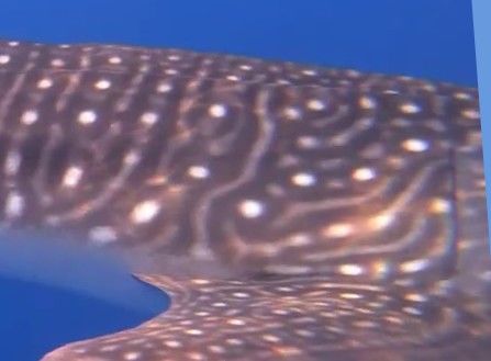 79ec7b1c-0a23-4014-b312-f3281ad16ab8