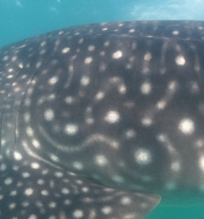 d135c266-acc1-45ed-8ec4-b205693f01ea