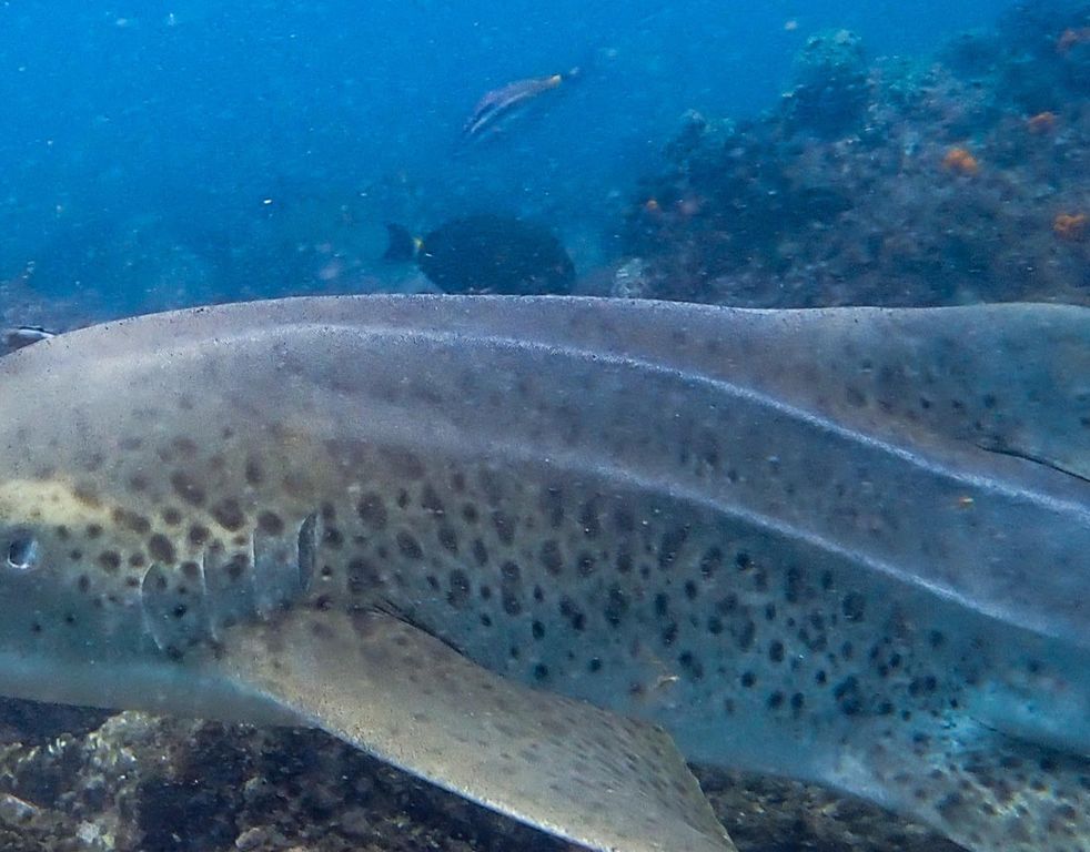 a50a3a04-e02e-4a51-ab1f-556ead886766