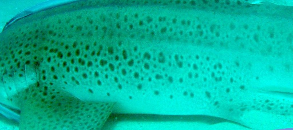 20d30ab5-d203-4e7d-bf1f-448791c40b80