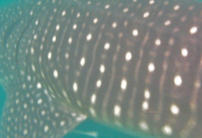 538ca53a-633d-4ecf-8bfe-6b95e863f2bb