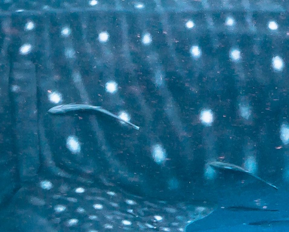 29a9e16c-cc1d-469c-9e30-58964fc048a3