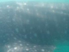 dd5c3e21-80a6-4845-8cb3-c21d9d3a7c44