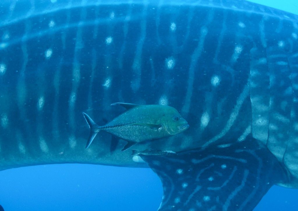 b3a9c31a-f2e5-4ddc-bd21-2b8963105541