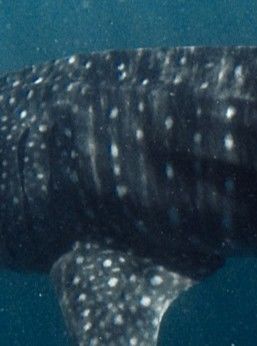 0f102b23-1a4a-4f86-87d8-8a3a4befde4f