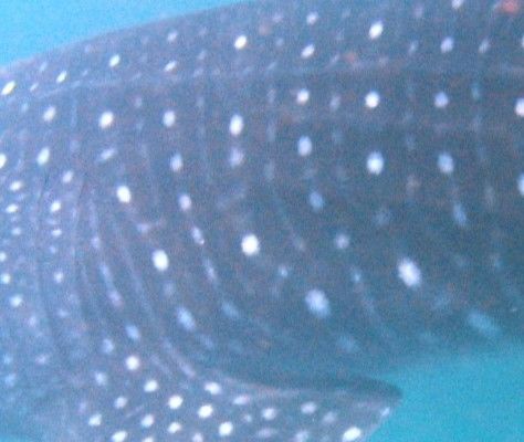 8286653a-420d-4eb4-8d93-0968f4b48fa7