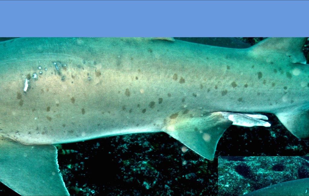 c019f056-fa1a-489a-aacf-d2cebe3cdc09