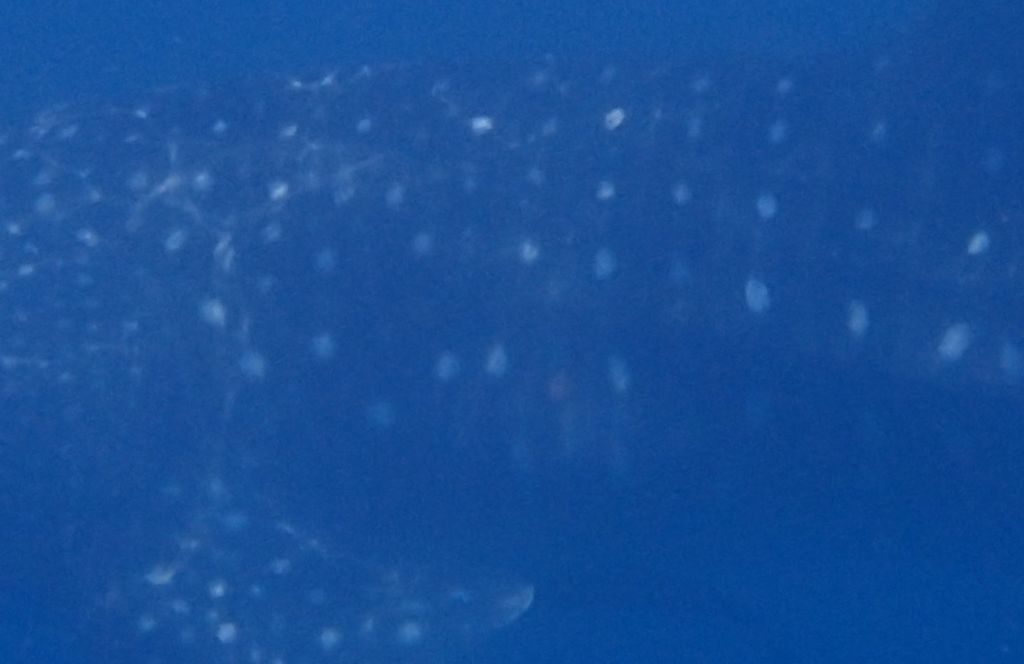 29d54337-ee15-4aeb-87c5-f315e1d35543