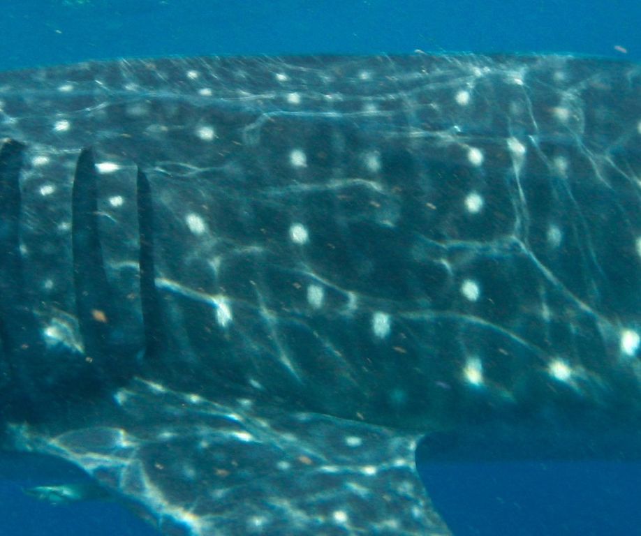 9be73e0e-6bed-4352-bd00-c21e01ba4c72