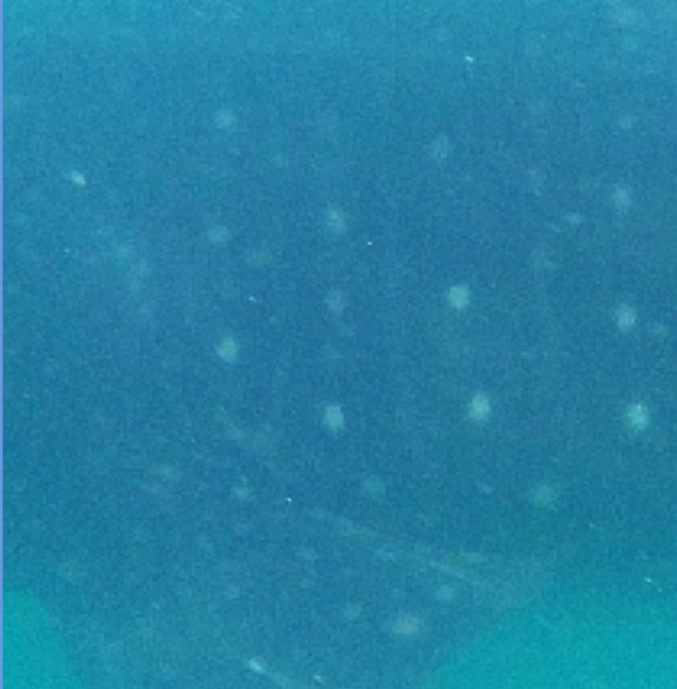 f03ab7b6-7a28-4cfe-b3ea-c90a0b655ca0