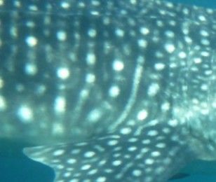 87624d5a-c5fd-4fc3-ae40-b37098d1cf3a