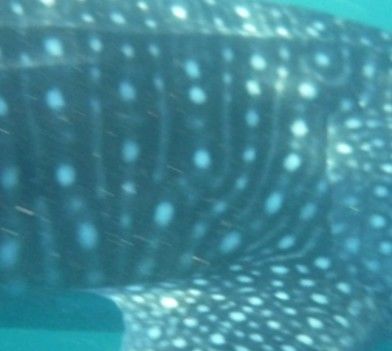 7784992f-0d75-401c-bc44-12f78cb84ab2