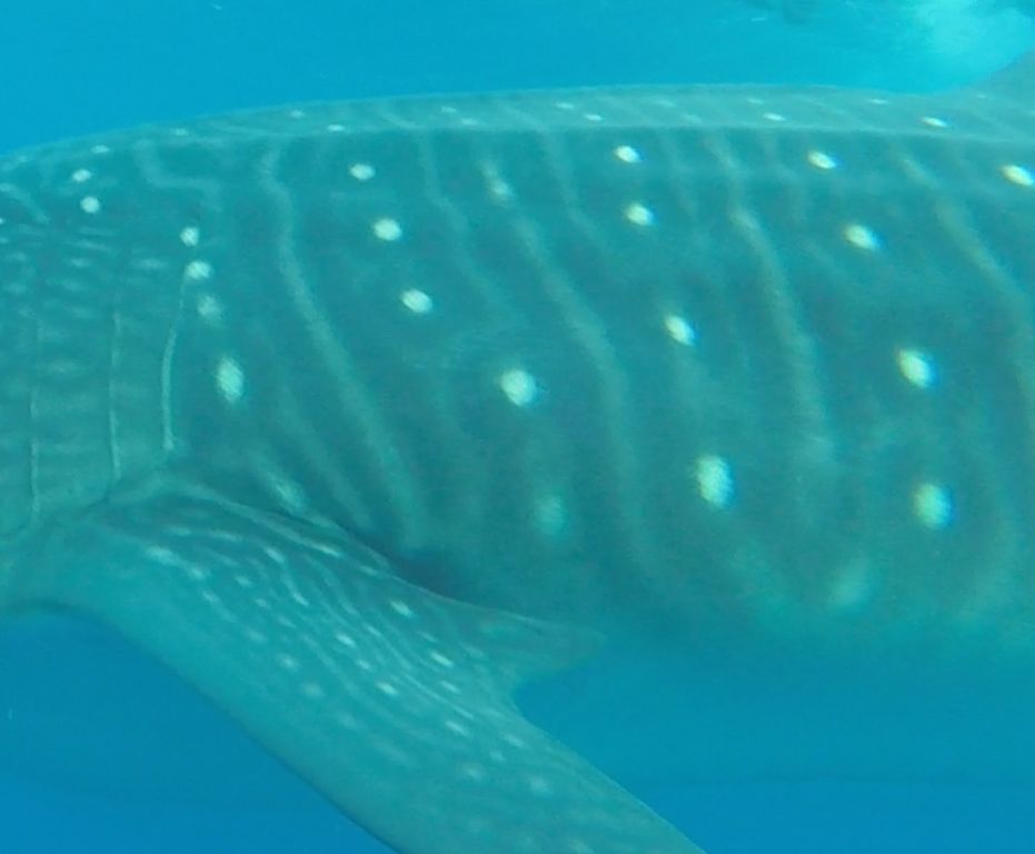 11153e33-643c-4d72-8d70-876f49dc3215