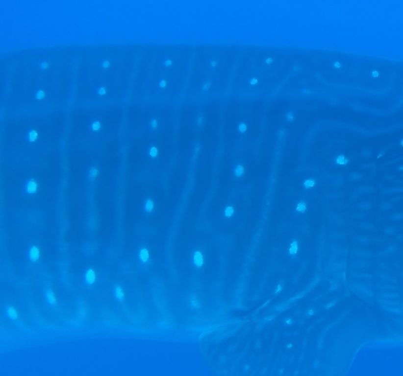 11153e33-643c-4d72-8d70-876f49dc3215