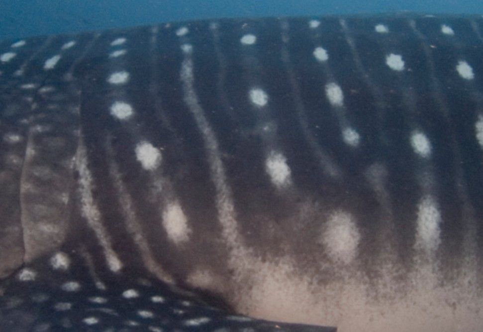 519d6214-3c66-496e-85b9-d809615bee06