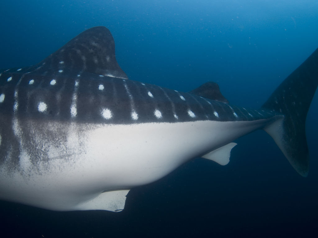 519d6214-3c66-496e-85b9-d809615bee06