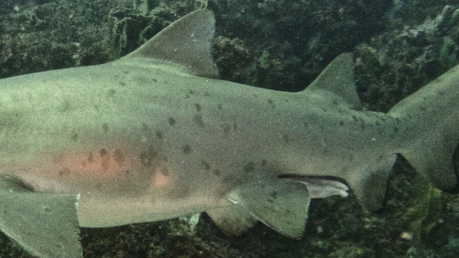 15290b99-f307-4915-bbe6-f51edf26df91