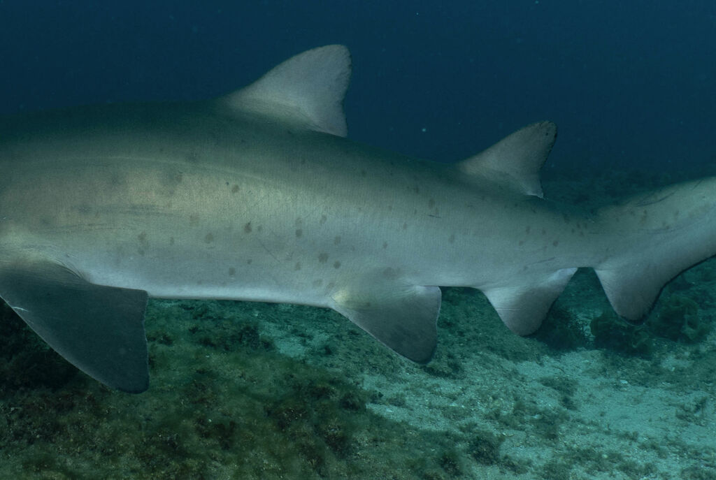 67fb2600-7e02-497c-a83d-f4f26036728f