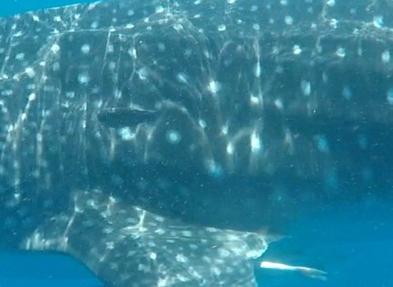 8165ff56-3476-4b0b-b10f-5b77fc71526e