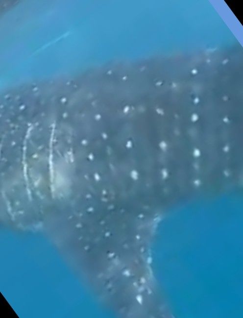 9ee0dc06-c105-4880-b59e-c9778a1d7396