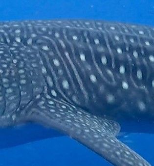 a22bea25-b143-4533-9201-555b2dfa7b4c