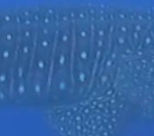 a22bea25-b143-4533-9201-555b2dfa7b4c