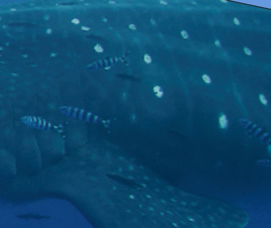 c571c58d-a79d-4b18-87d4-12269421fde7