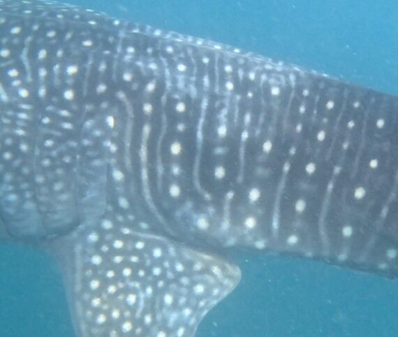 aa25a84e-27d1-4bd4-9bcf-77b5be580c6d