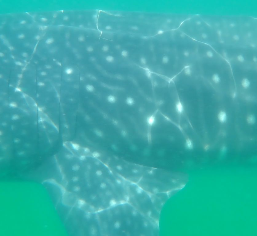 aa58f4b5-42bf-4824-99c2-f806ff551c26