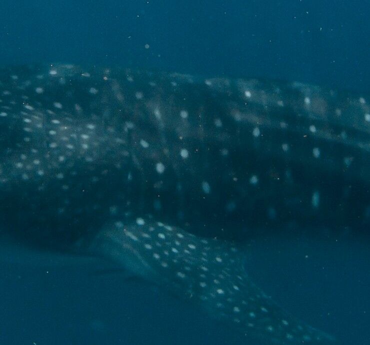 835c7a0e-4a1e-4597-a2b9-1a8e41251b55