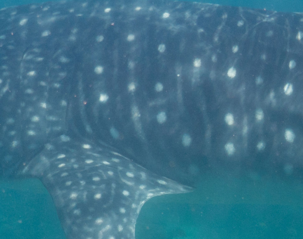 4226cb71-7431-49b7-907c-49d084ef4b70