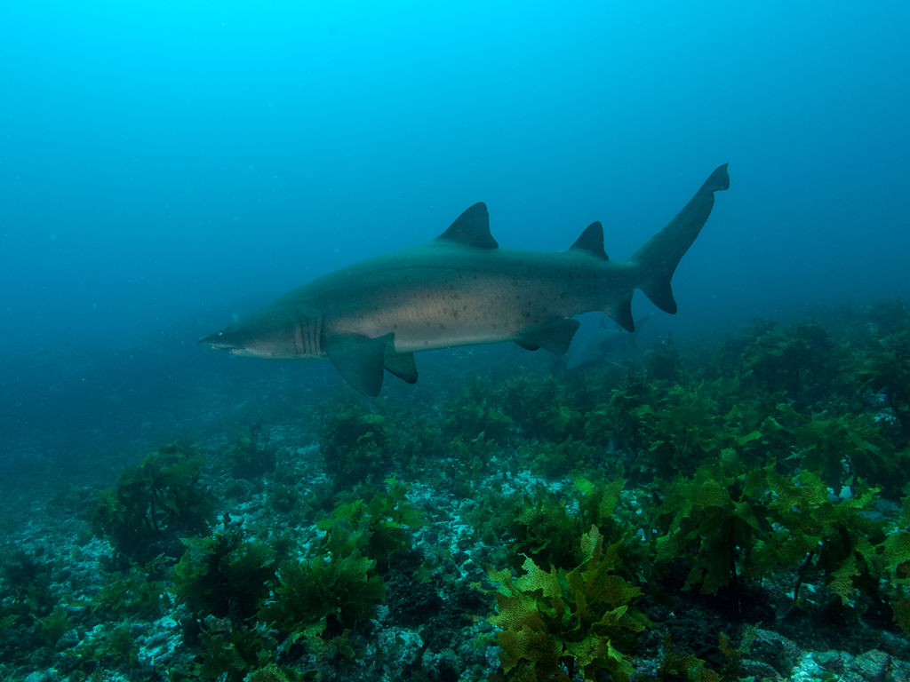 ae15525e-3f39-4151-bab5-ae6a2fe77ac9