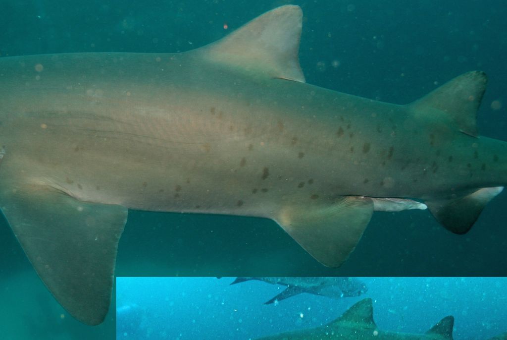 5f644484-36bb-4f36-945f-72d0d840d0d5