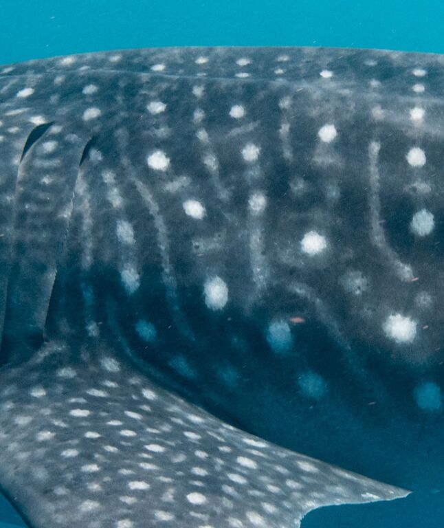 3d53132d-00e1-41da-ac9e-1096da0b87ed