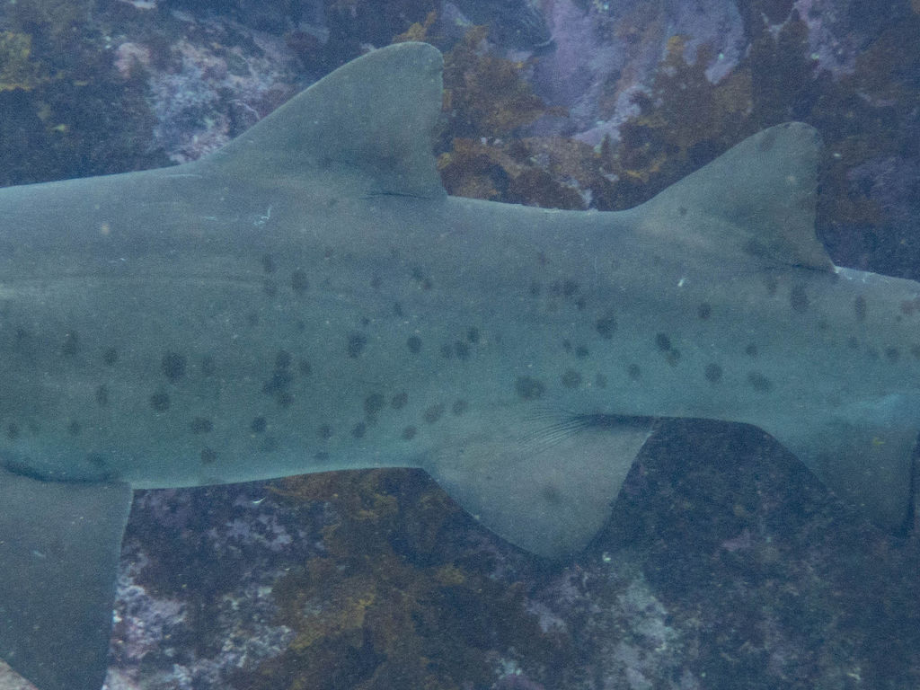 0c896607-c581-40db-ab3b-81c1091f52d7