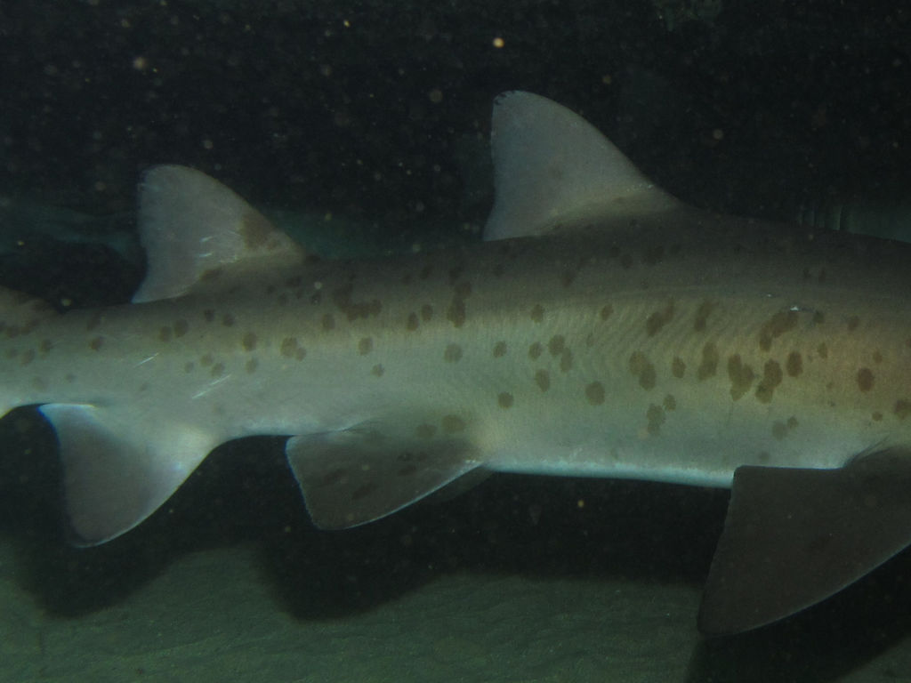 a74cda08-2141-45ef-a0ba-e04780794d7e