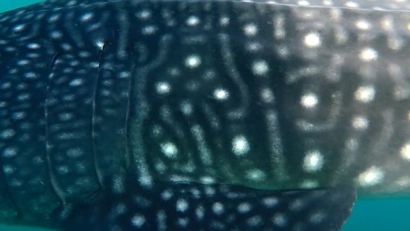 d57db851-dd25-4f3c-8755-f86574dd93cf