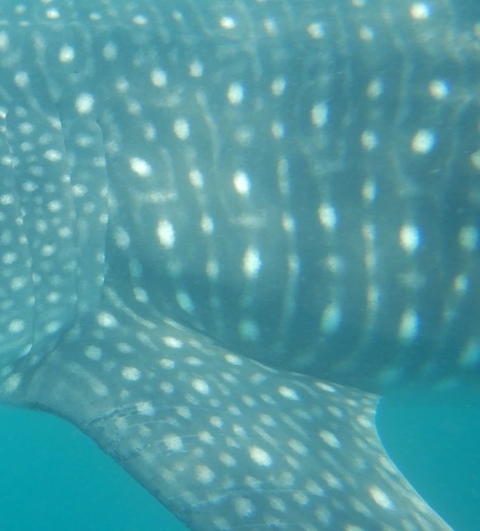 85e96014-ad2f-40f5-8e10-6f43f2ce894d