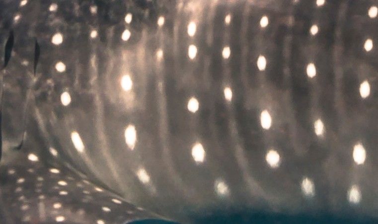 039d58f3-5d21-4396-b27b-76ffe8bef114