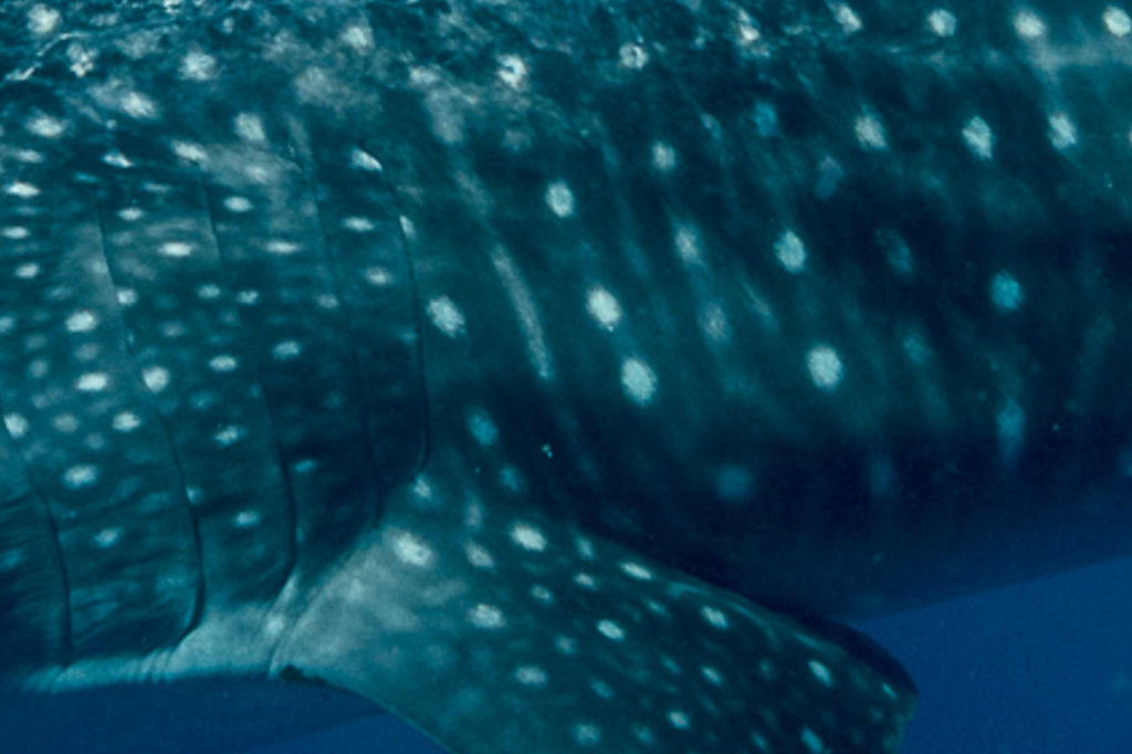 681eb728-2d82-4ebb-bfbe-abb37927015f