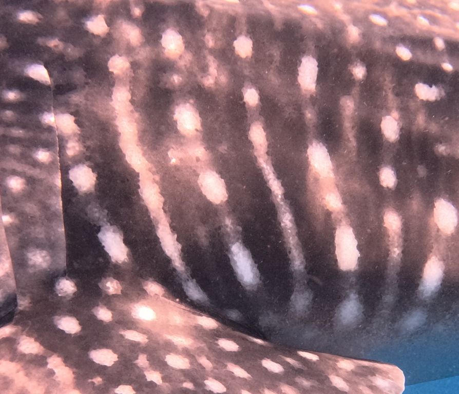 7808545e-c5f7-48a7-aa52-01d928923c61