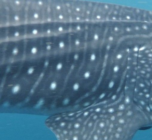 0b3e0915-385d-419e-87b3-902bc1774d46